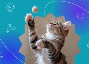 Keep Your Cat Entertained with This Innovative Toy